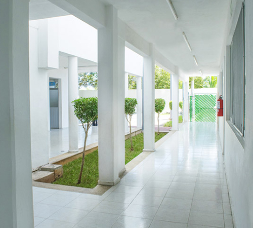 Instalaciones - El Castañar